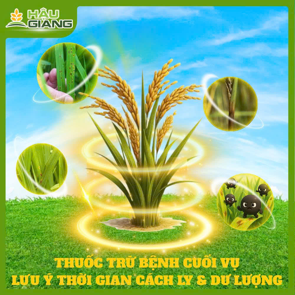 Thuốc Trừ Bệnh Cuối Vụ: Lưu Ý Cách Ly Và Dư Lượng