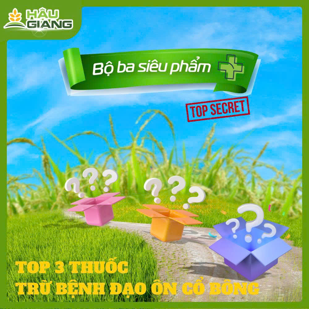 Ba Loại Thuốc Trừ Đạo Ôn Cổ Bông Hiệu Qủa