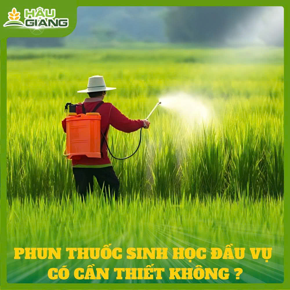 Những Lưu Ý Khi Sử Dụng Thuốc BVTV Gốc Sinh Học