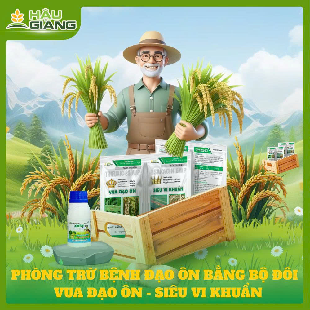 Phòng Trừ Đạo Ôn Giai Đoạn Đòng Bằng Bộ Đôi Vua Đạo Ôn - Siêu Vi Khuẩn