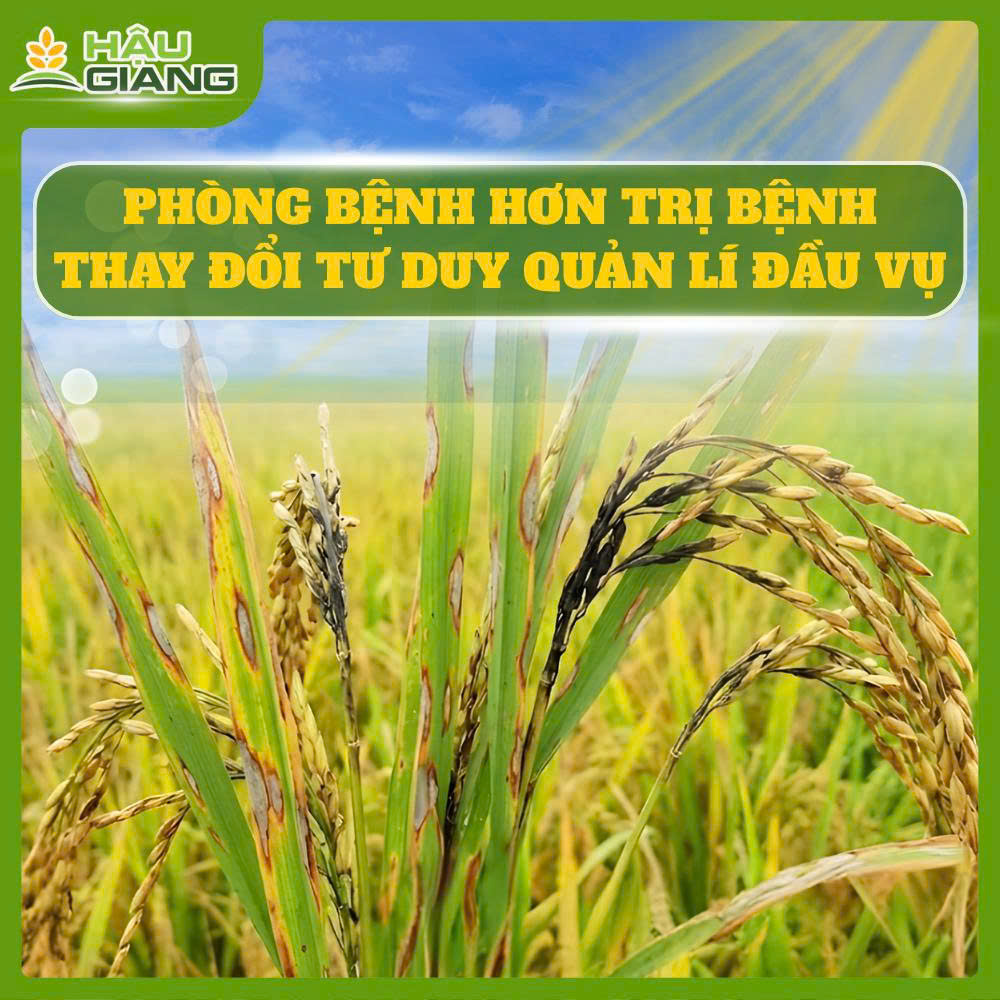 Phòng Bệnh Hơn Trị Bệnh - Thay Đổi Tư Duy Đầu Vụ