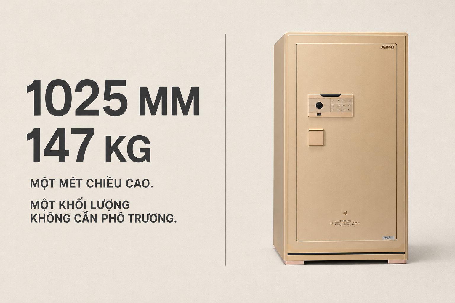 Két sắt đồng hồ AIPU ZR-100VI-G-W Champagne Gold