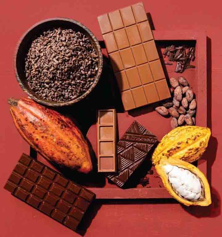 Cacao & chocolate ingredients