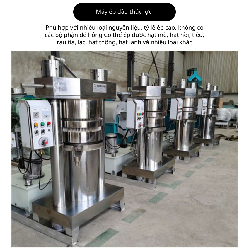 Máy ép dầu thủy lực đa năng dùng trong kinh doanh với máy lọc, máy ép dầu cám dừa, máy ép dầu hạt óc chó thủy lực.