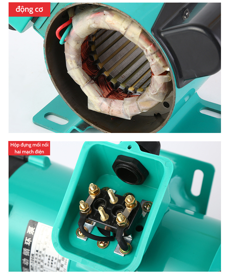 Bơm hoá chất chạy điện MP-6R/10R/15R/20R/30R/40R/55R/70R