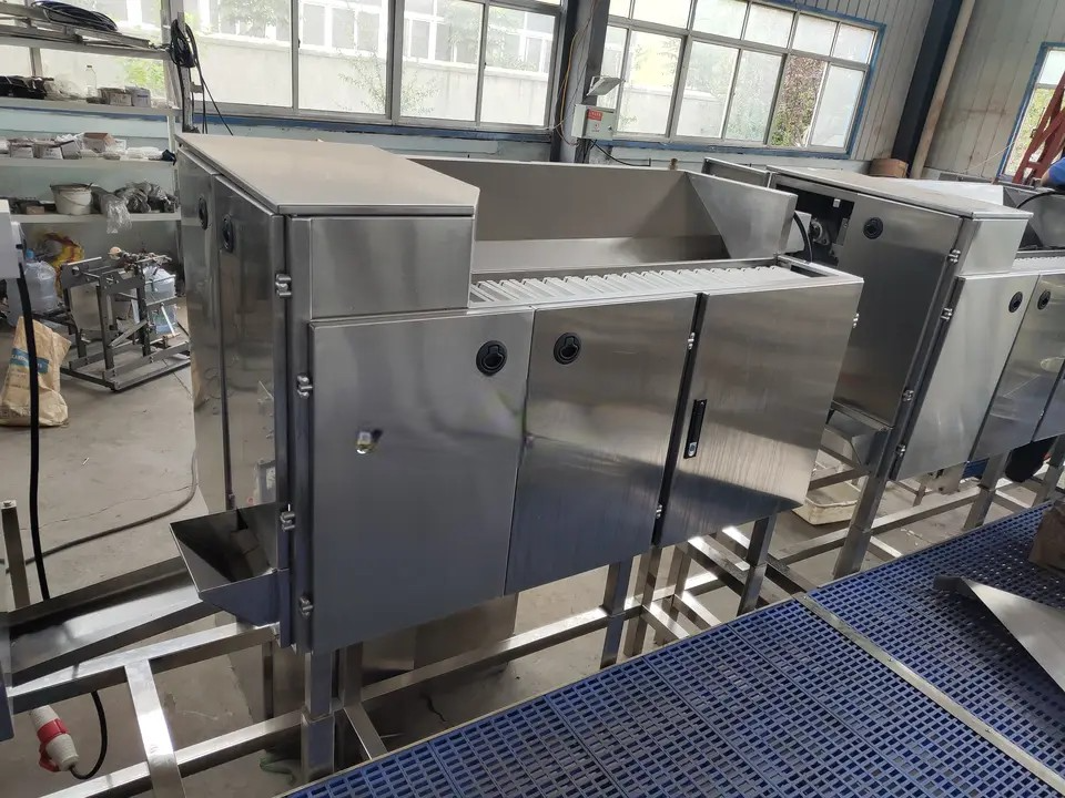 Máy bóc vỏ tôm tự động