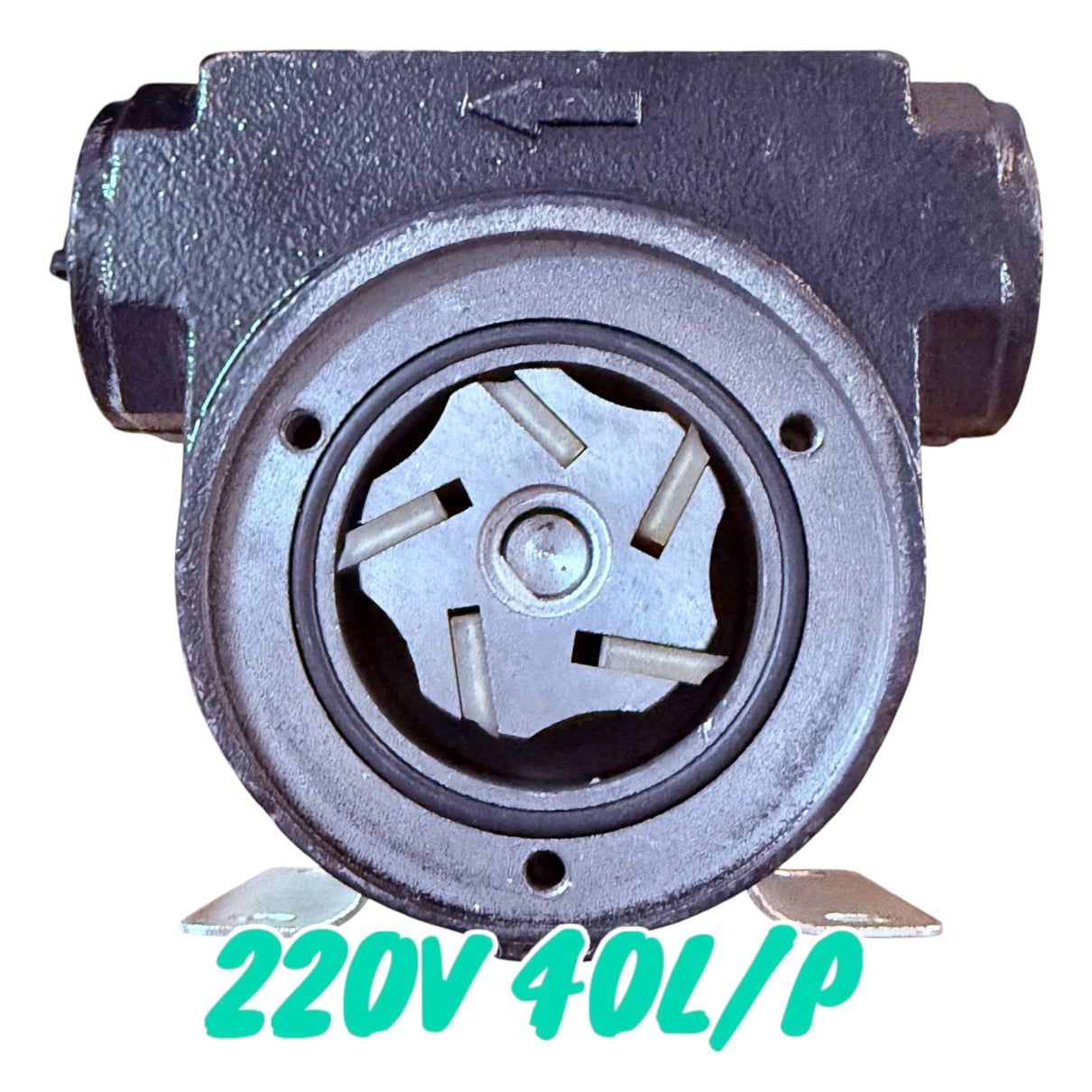 Bơm dầu Diesel, dầu hỏa chạy điện 220V CH8010A 40L/P
