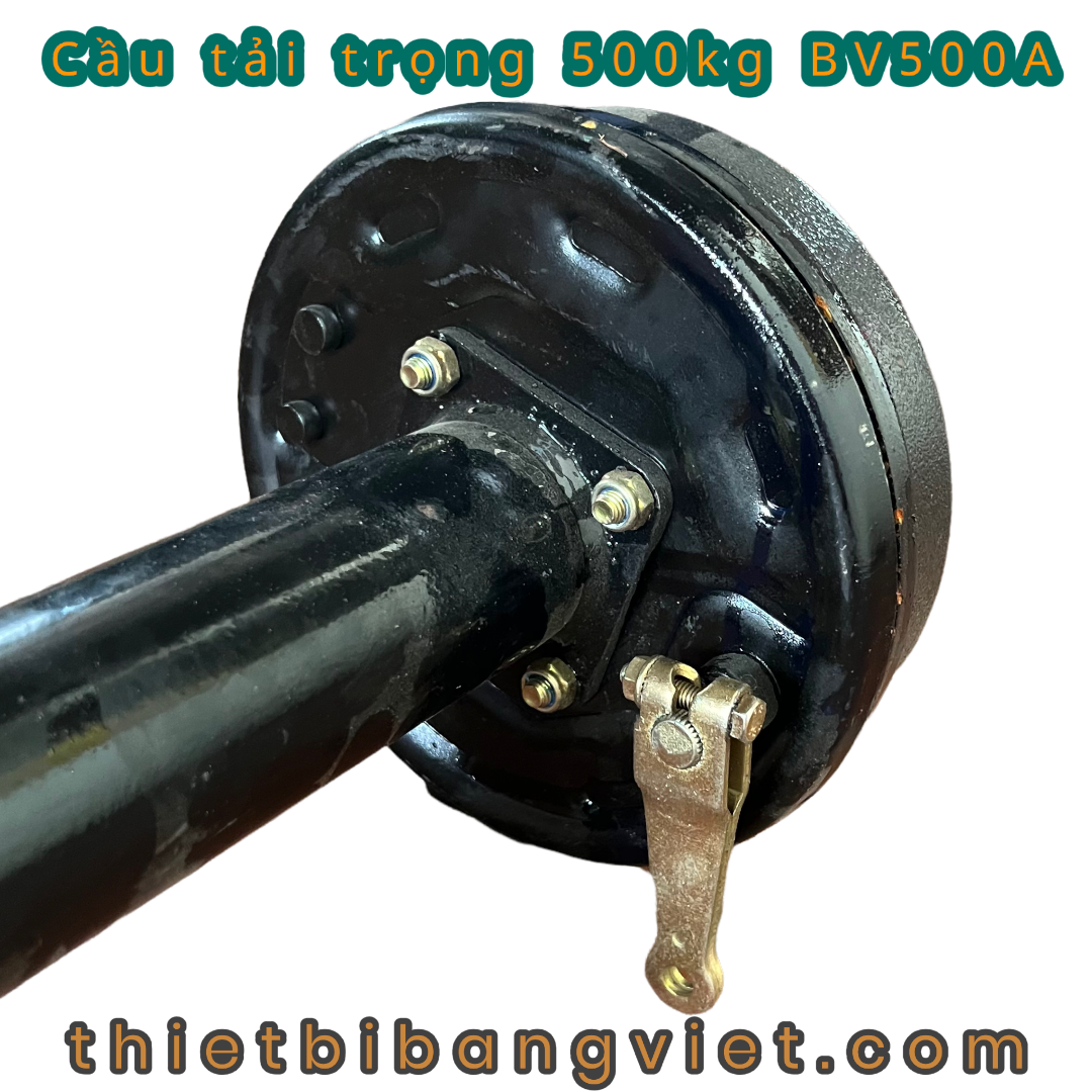 Cầu xe điện tải trọng 500kg (chưa gồm động cơ)