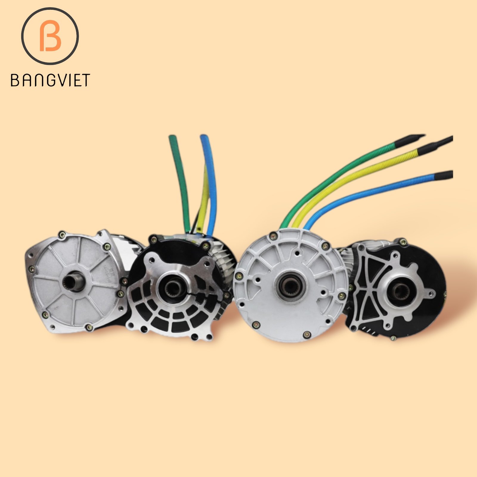 Động cơ xe điện BLDC không chổi than công suất lớn