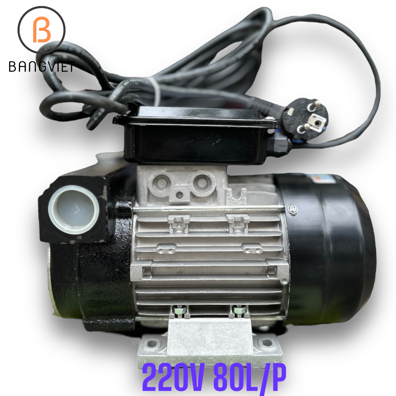 Bơm dầu Diesel 220V 80L/P CH80AC