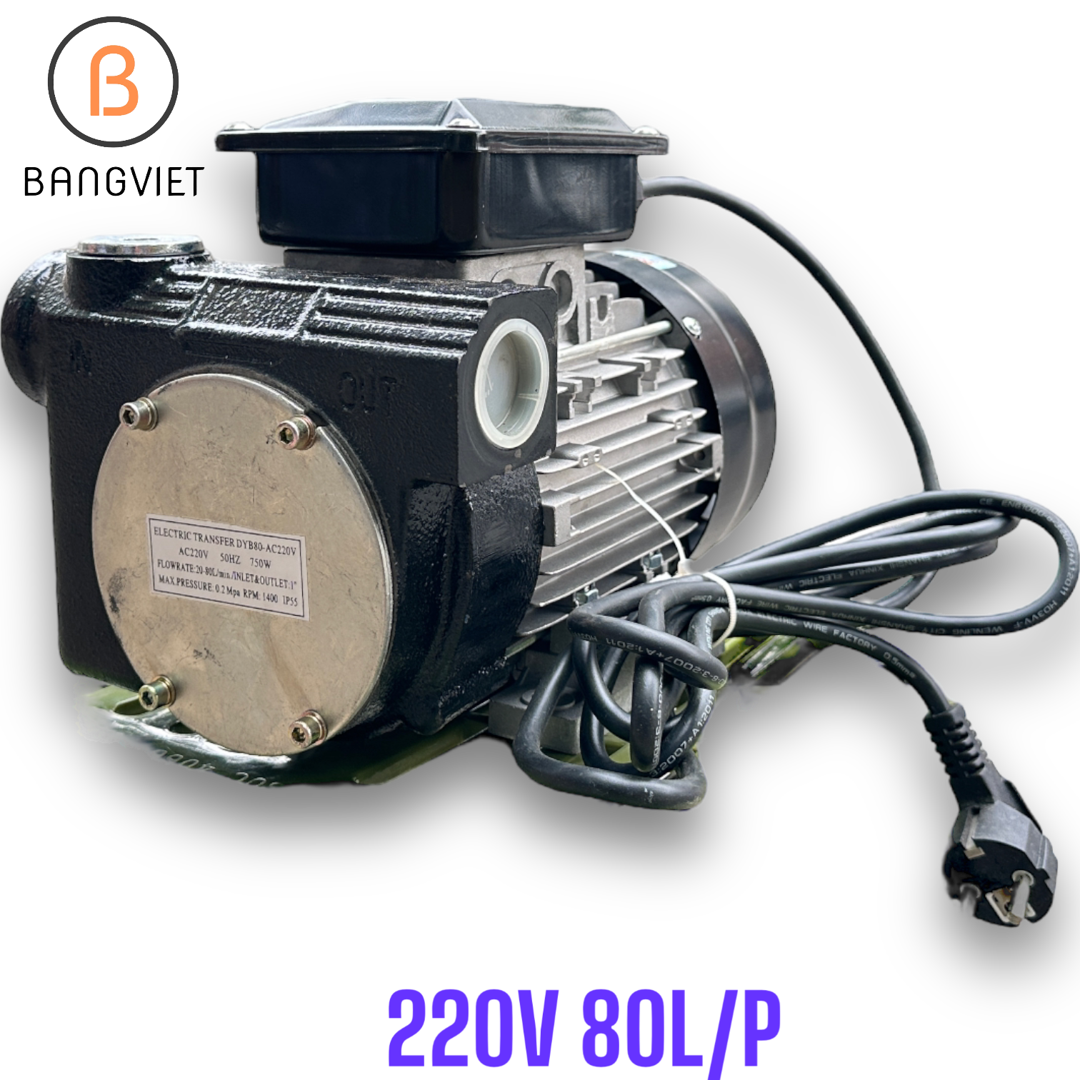 Bơm dầu Diesel 220V 80L/P CH80AC