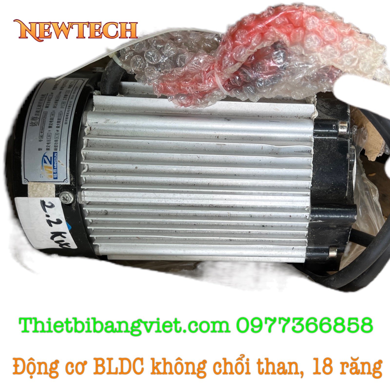 Động cơ xe điện BLDC không chổi than công suất lớn