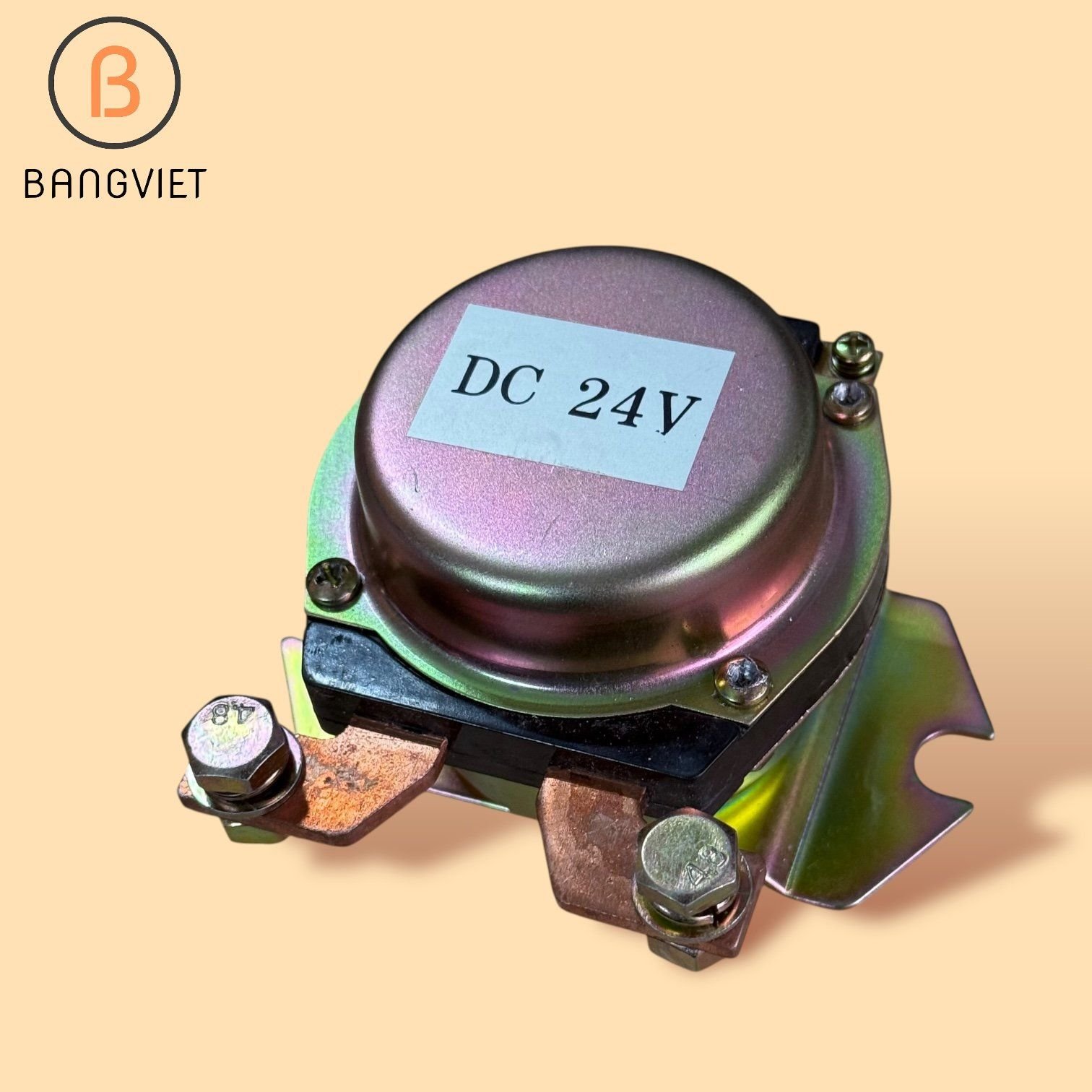 Bộ KIT bơm xăng - cây xăng bán lẻ 220V 60L/P AK8889 Có lường