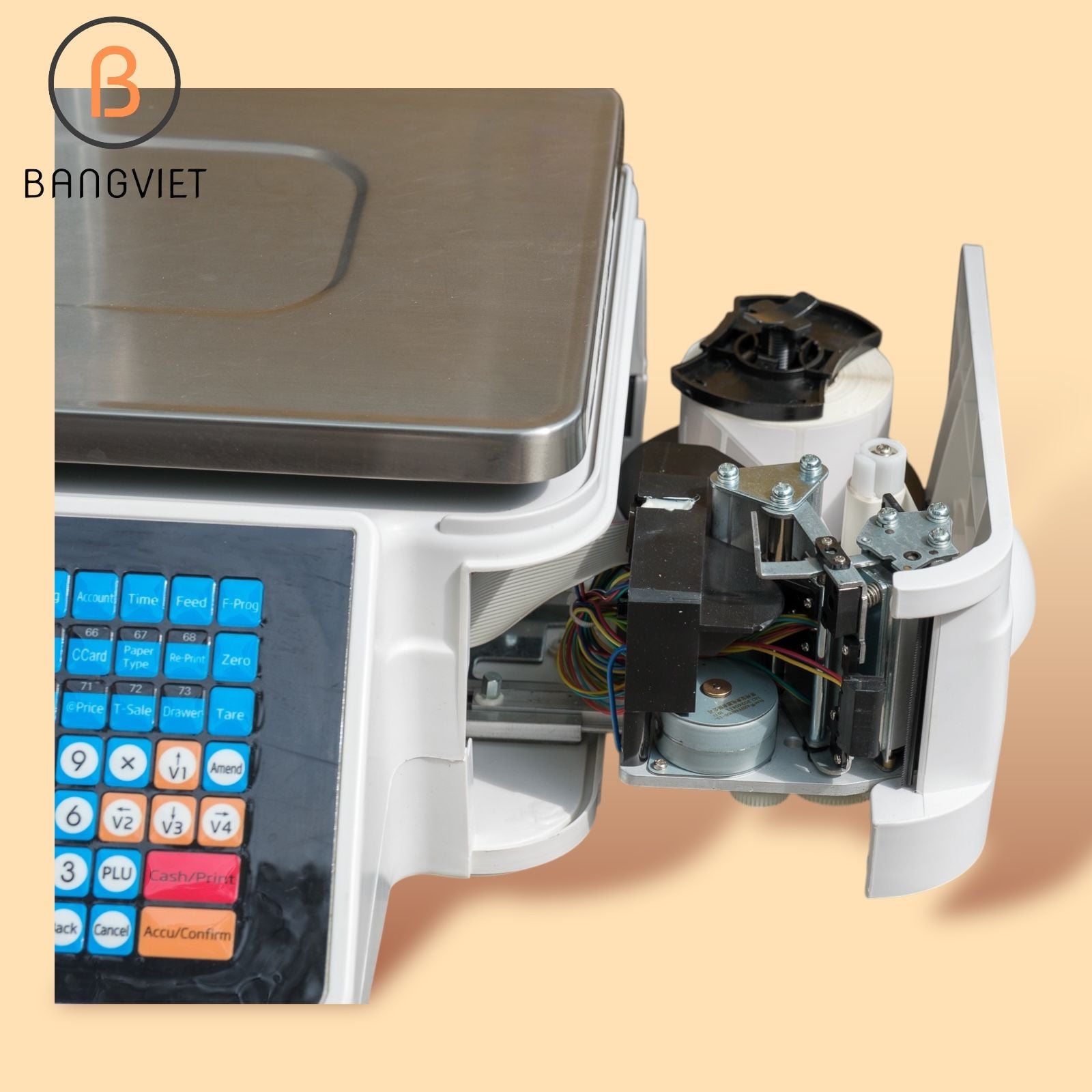 CÂN ĐIỆN TỬ IN TEM MÃ VẠCH TM-A 30KG - CÂN SIÊU THỊ CHÍNH HÃNG NEWTECH TMA