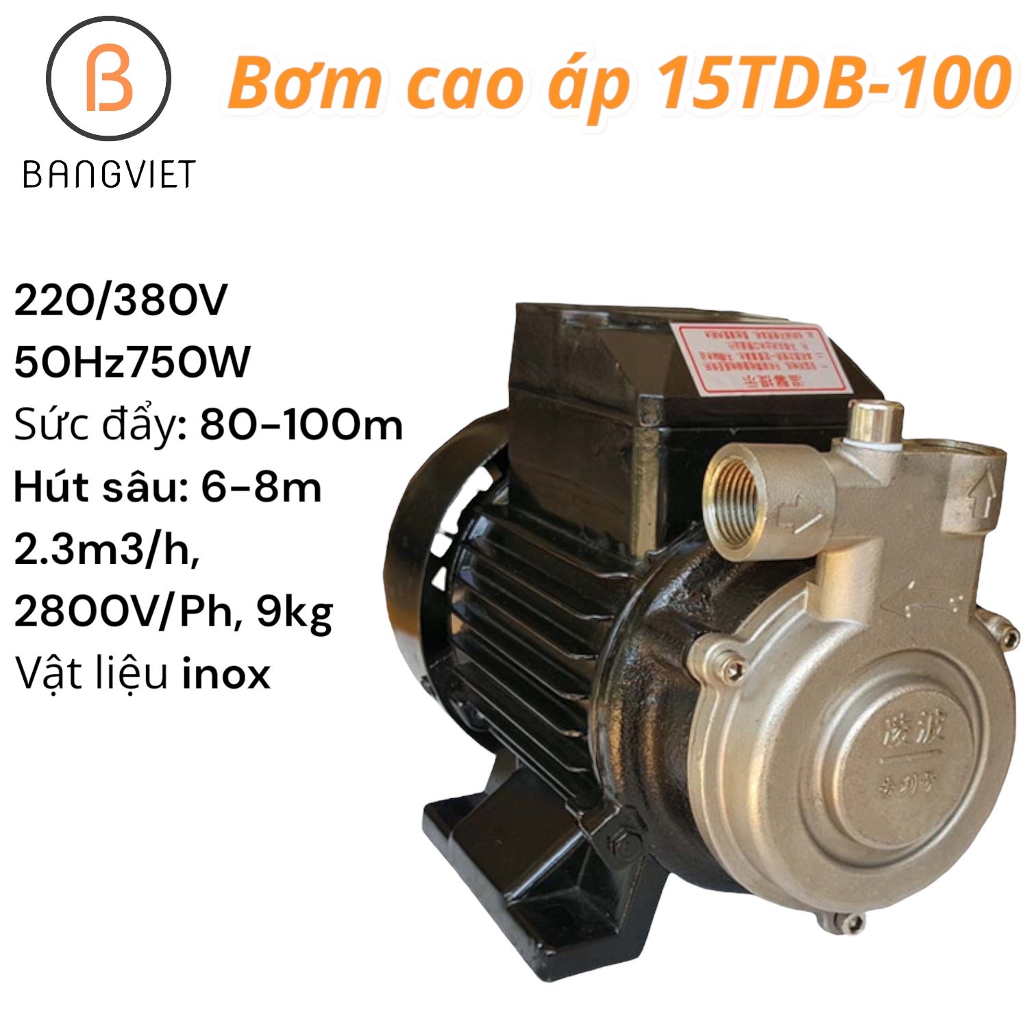 Bơm cao áp 220V 380V 100 mét