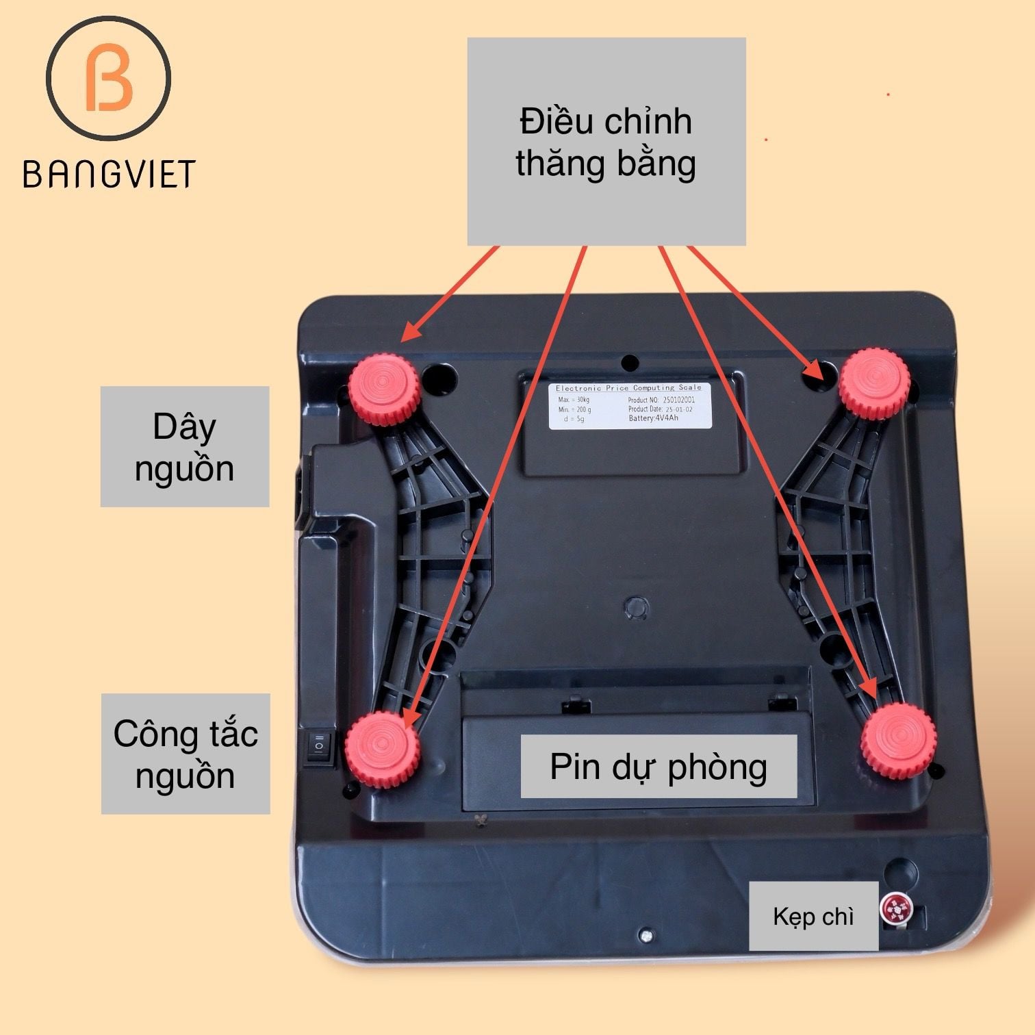 Cân điện tử tính tiền 2 mặt BV202