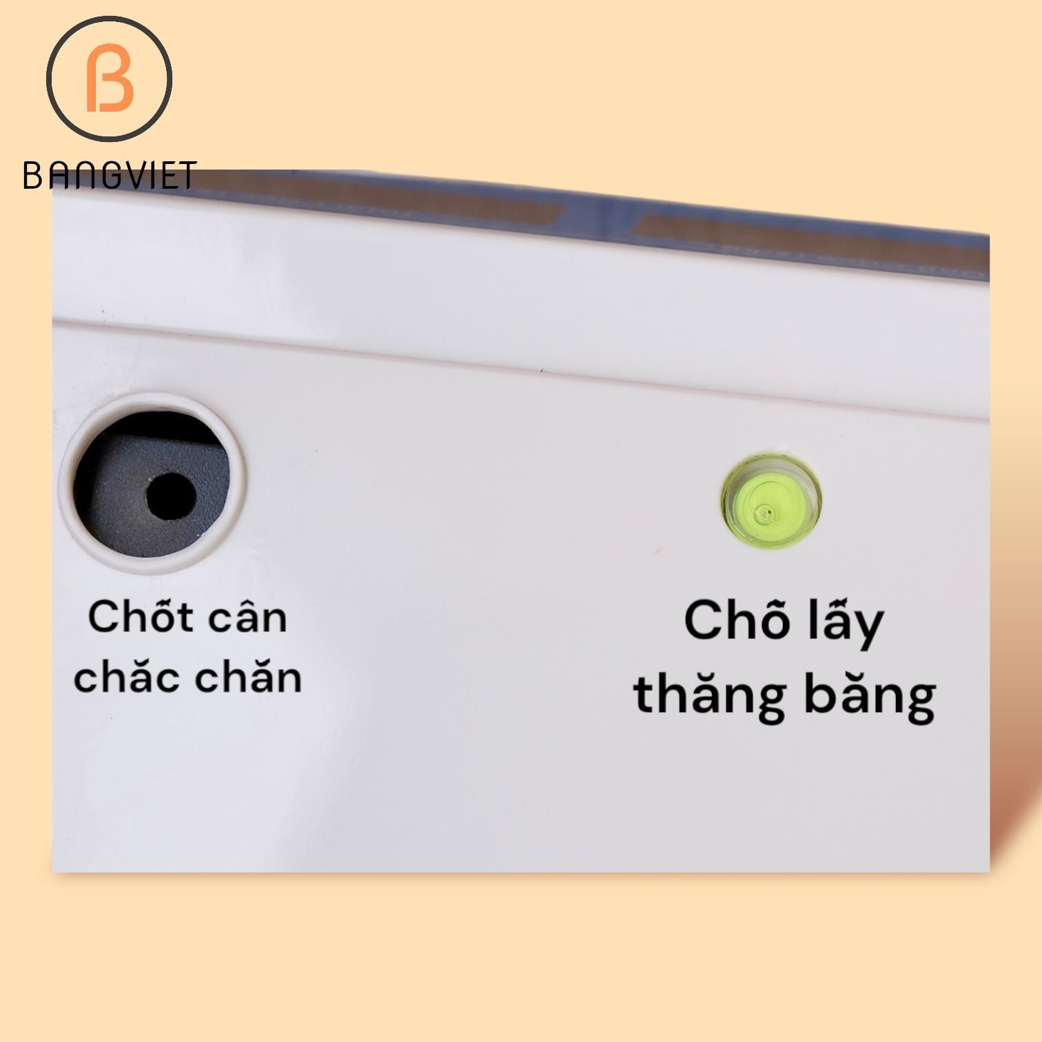 Cân điện tử tính tiền 2 mặt BV202