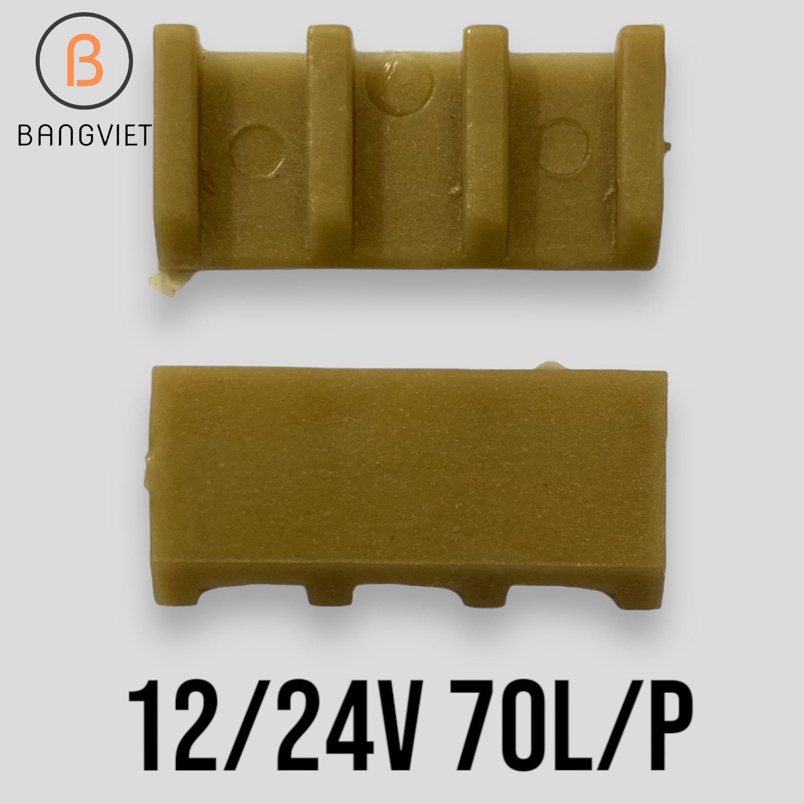 Cánh gạt bơm dầu diesel 12V/24V 220V  40 l/p 50 60 70 80 100 l / p