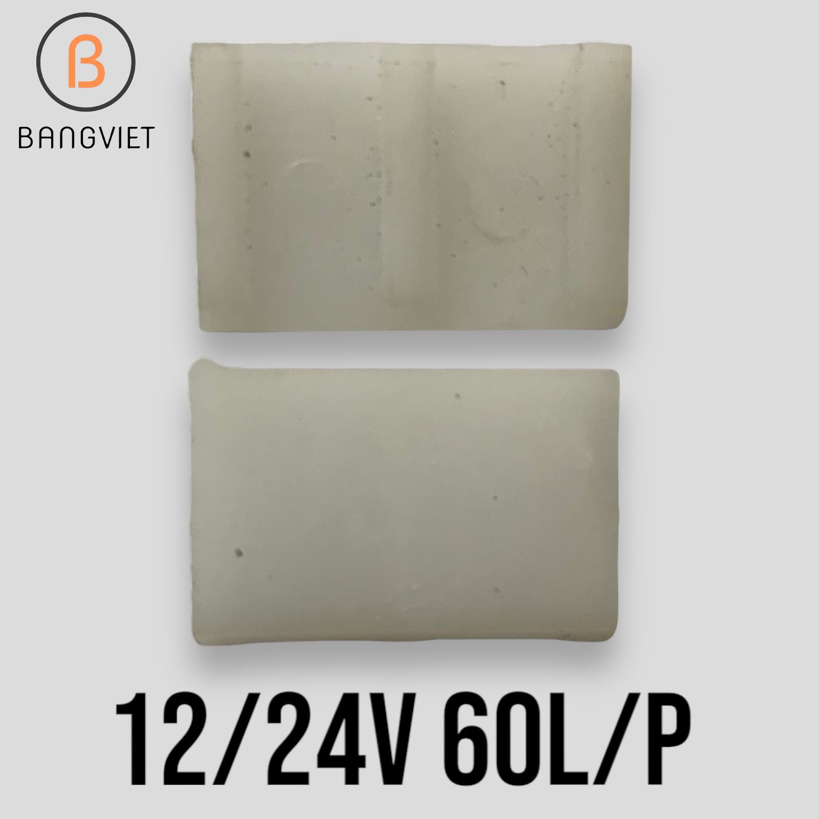 Cánh gạt bơm dầu diesel 12V/24V 220V  40 l/p 50 60 70 80 100 l / p