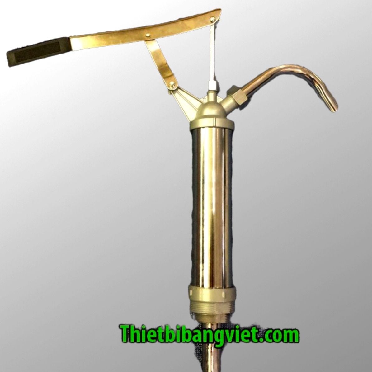 Bơm hóa chất piston bằng thép carbon Barrel Pump