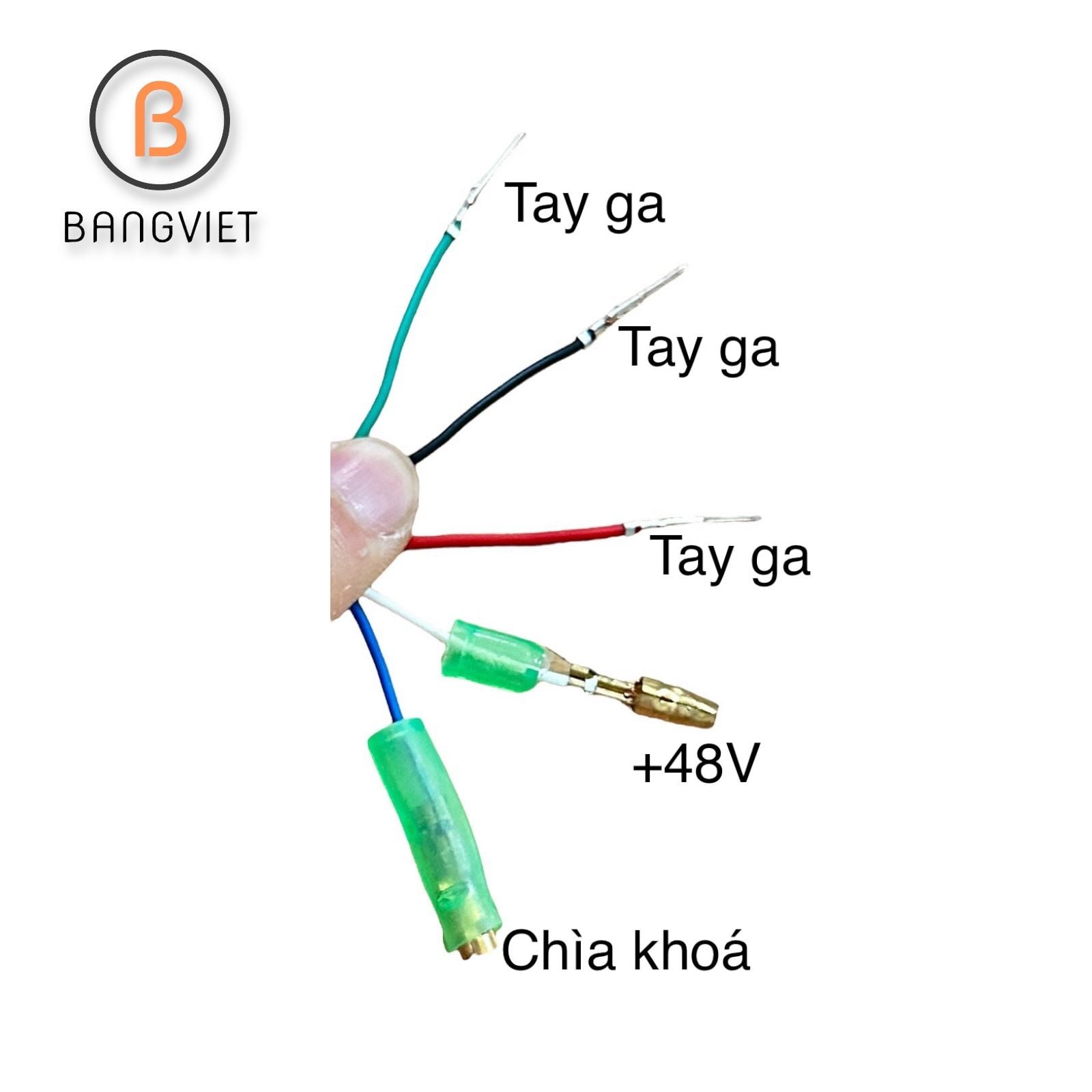 Tay ga có đèn báo ắc quy 48/60V