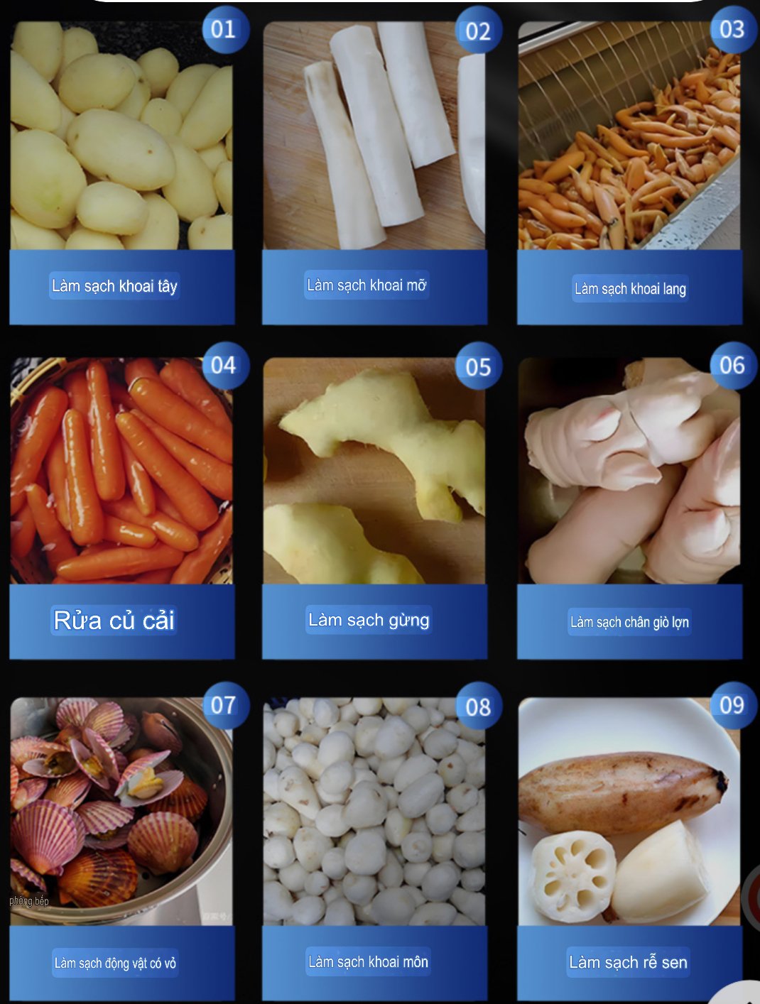 Máy gọt củ, model CX-60, chạy điện 380V 50Hz, công suất 0.75KW