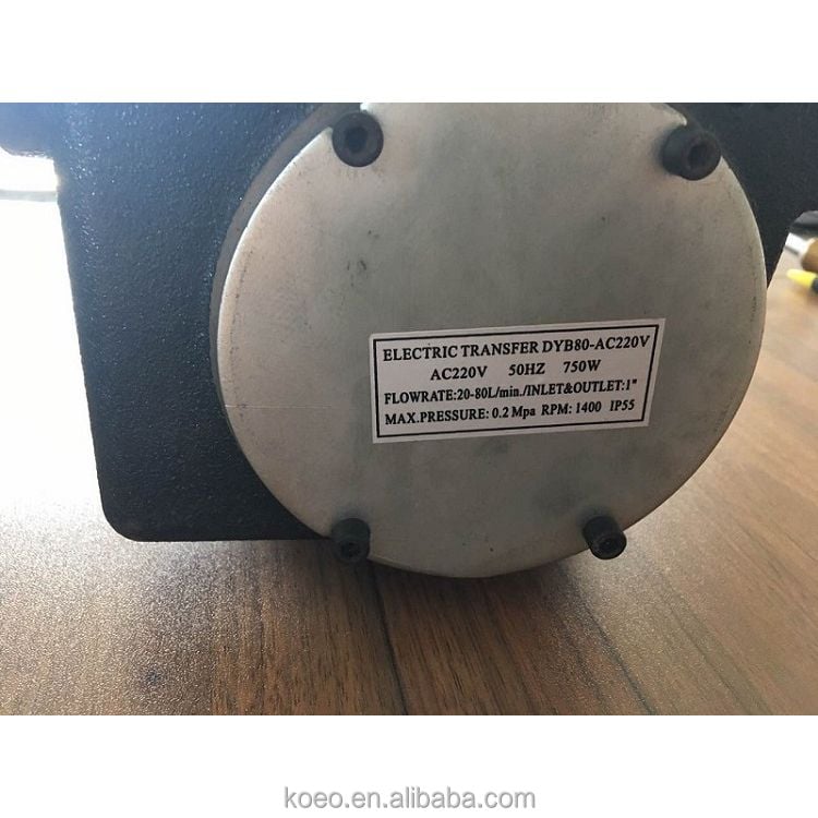 Bộ KIT bơm dầu Diesel 220V 80 L/P Model: B119