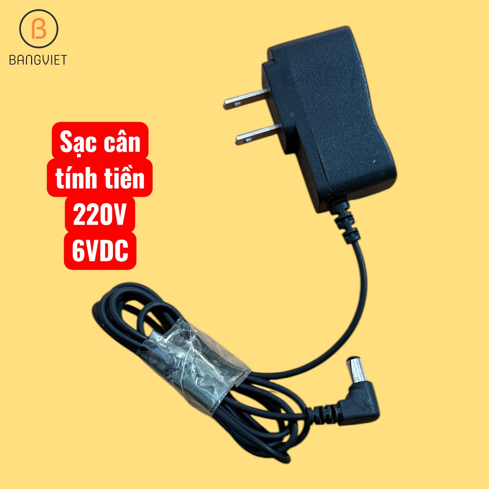 Sạc chuyên dùng cho cân điện tử tính tiền