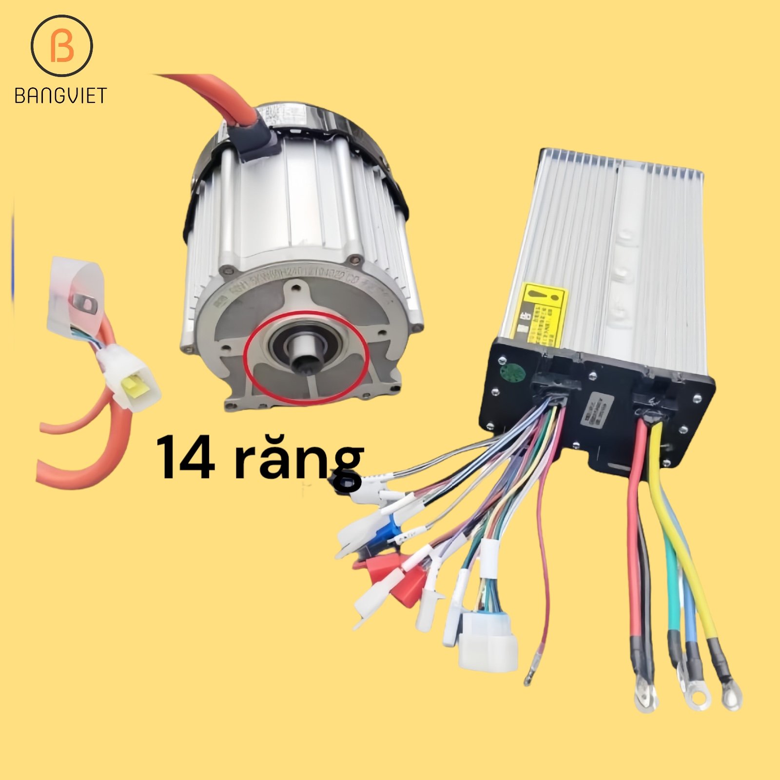 Động cơ và điều tốc BLDC 60V1000W 14 răng