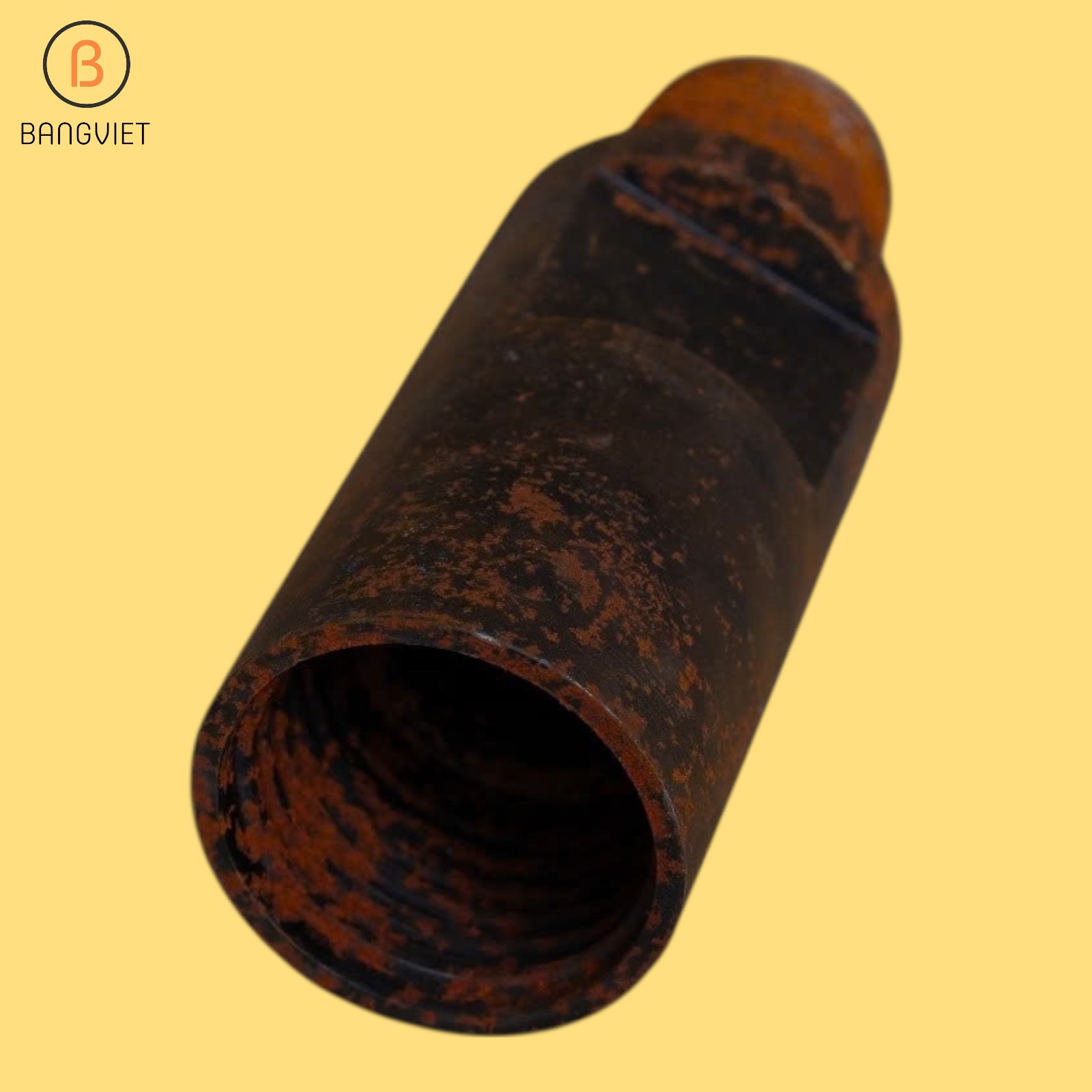 Máy khoan giếng chạy điện BV666