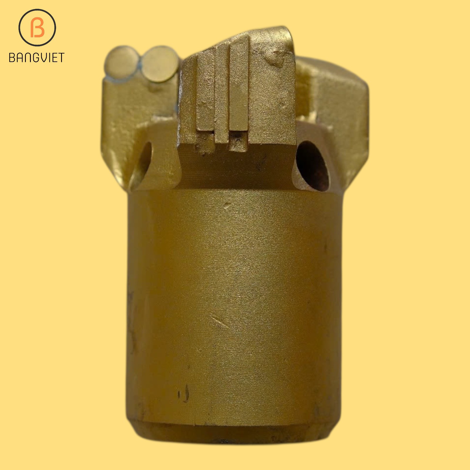 Máy khoan giếng chạy điện BV666