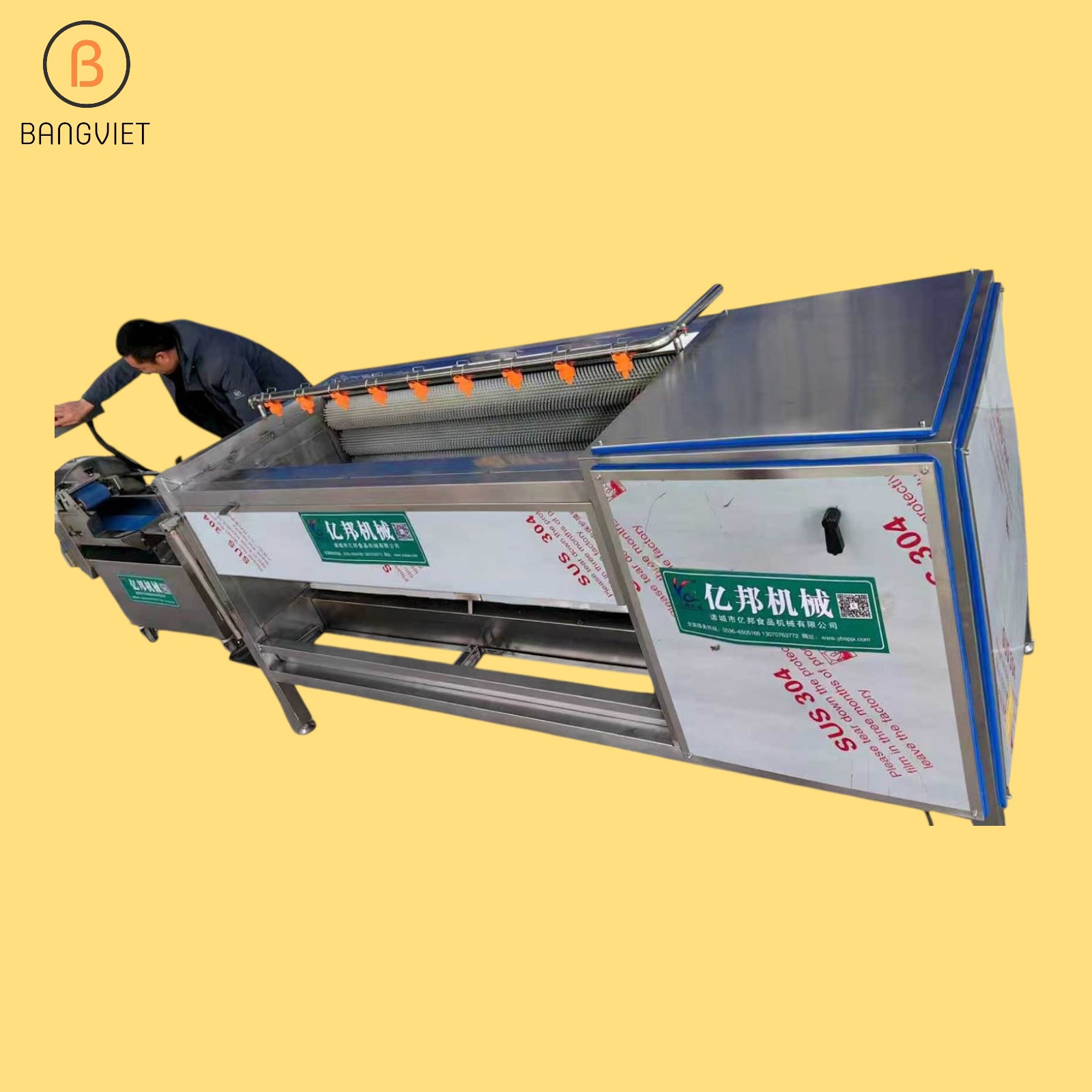 Máy Tách Vỏ Củ Đậu, Khoai Tây Công Nghiệp MG1500 (Năng suất 1.5 Tấn/H)