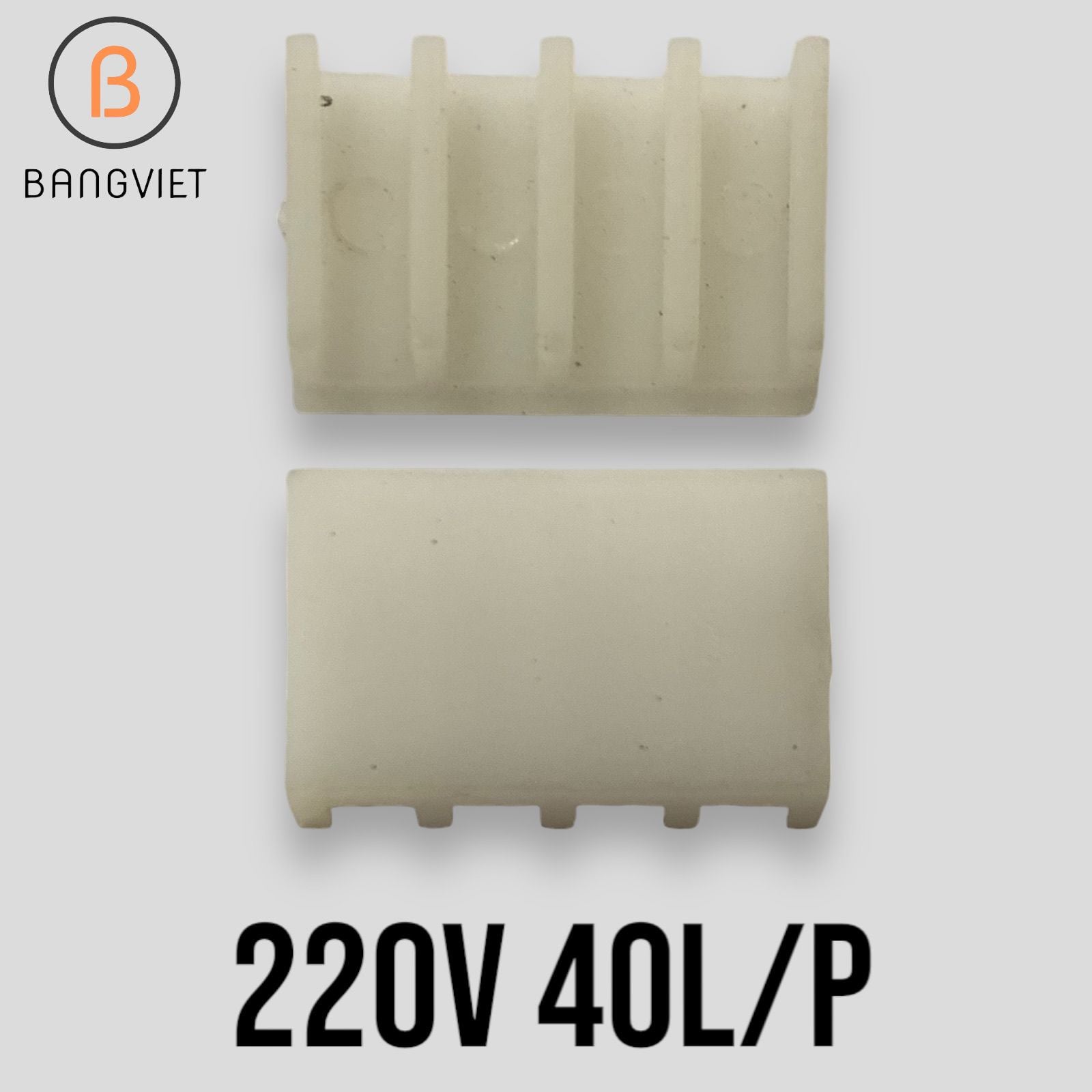 Cánh gạt bơm dầu diesel 12V/24V 220V  40 l/p 50 60 70 80 100 l / p