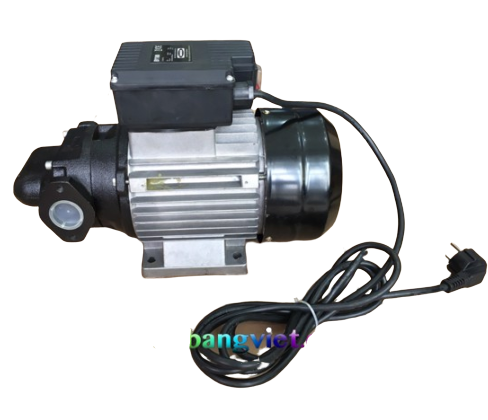 Bơm dầu Diesel 220V 100 L/P CH100AC 750W NEWTECH