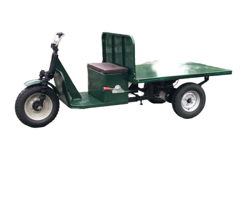 Xe điện chở hàng tải trọng 1000kg