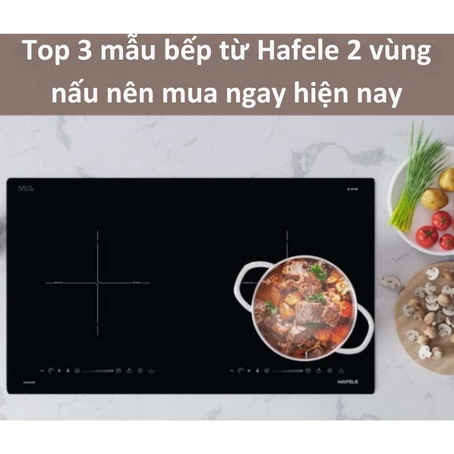 Top 3 mẫu bếp từ Hafele 2 vùng nấu Cao Cấp, Giảm Giá Cực Sốc