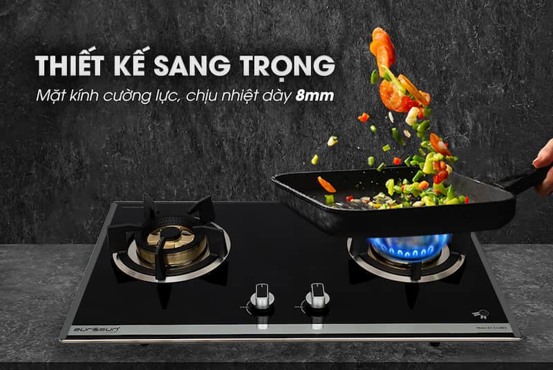Bếp gas âm EUROSUN EU-GA205S