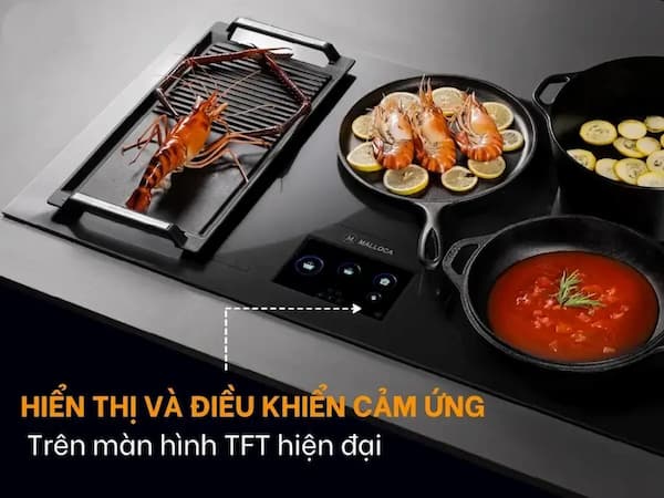 Bếp từ đa điểm Malloca TFT Skylux MH-92TFT