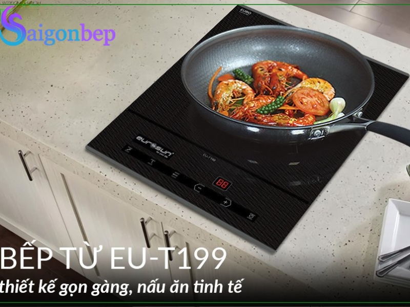 Bếp từ đơn EU-T199