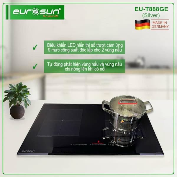 Bếp từ Eurosun EU-T888GE/SILVER