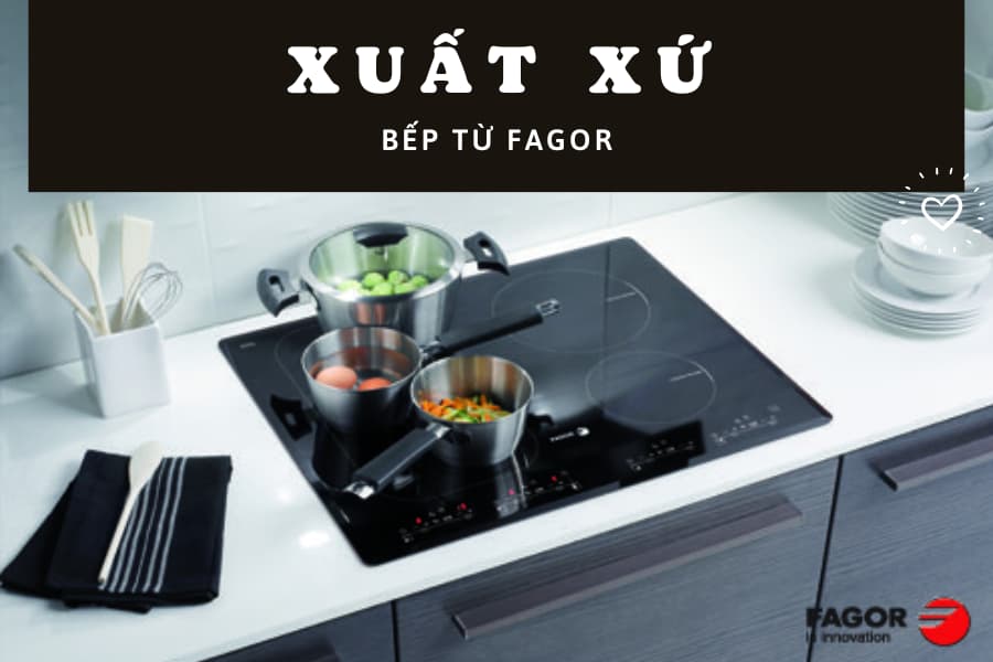 Bếp từ Fagor có tốt không
