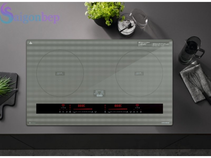 Bếp từ GrandX IP879JP