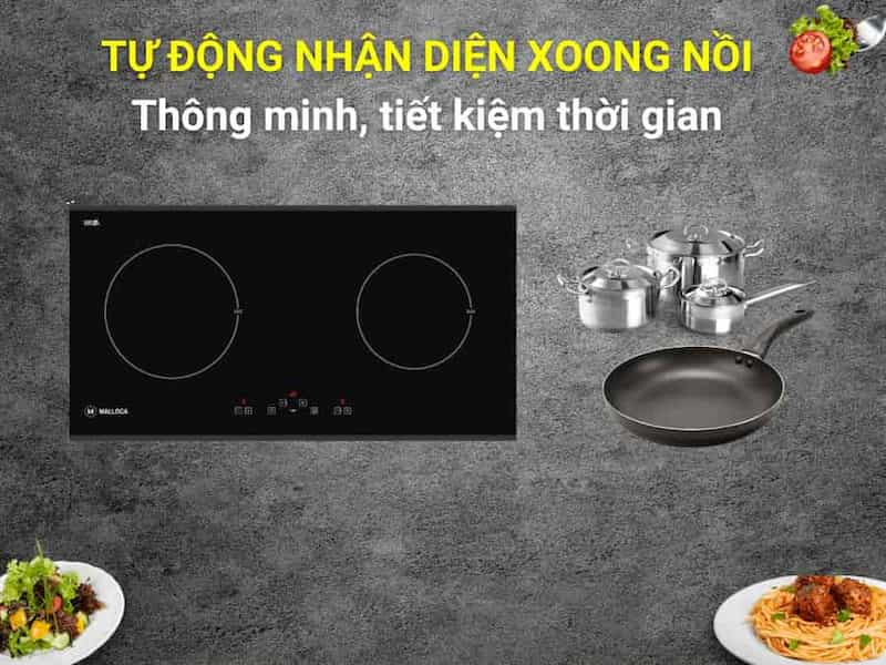 Bếp từ Malloca MH-02I D