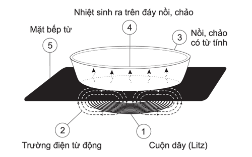 hướng dẫn sử dụng bếp từ Hafele