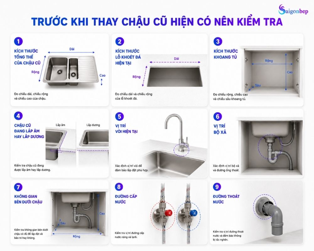 Những lưu ý trước khi thay chậu cũ bằng chậu mới