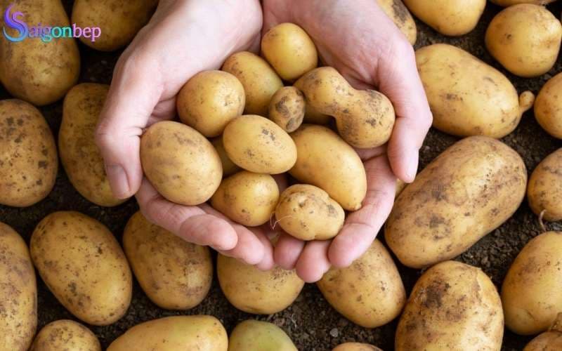 Những thực phẩm không nên đưa vào trong lò vi sóng