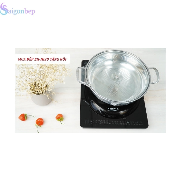 Bếp từ đơn EH-IH20