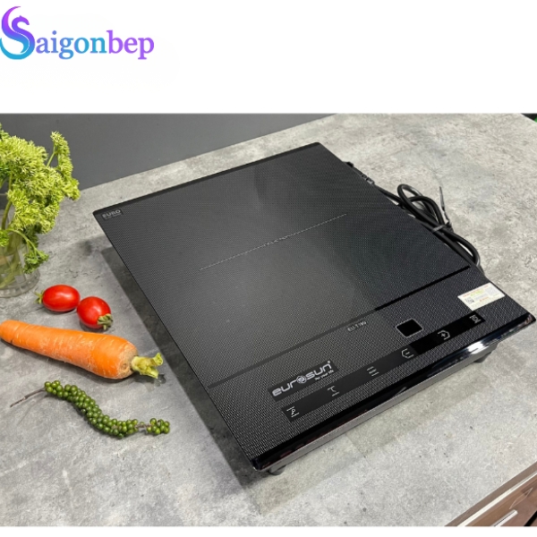Bếp từ đơn Eurosun EU-T199