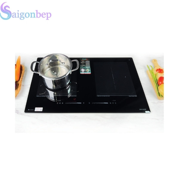 Bếp Từ  GrandX GX IH855Pro