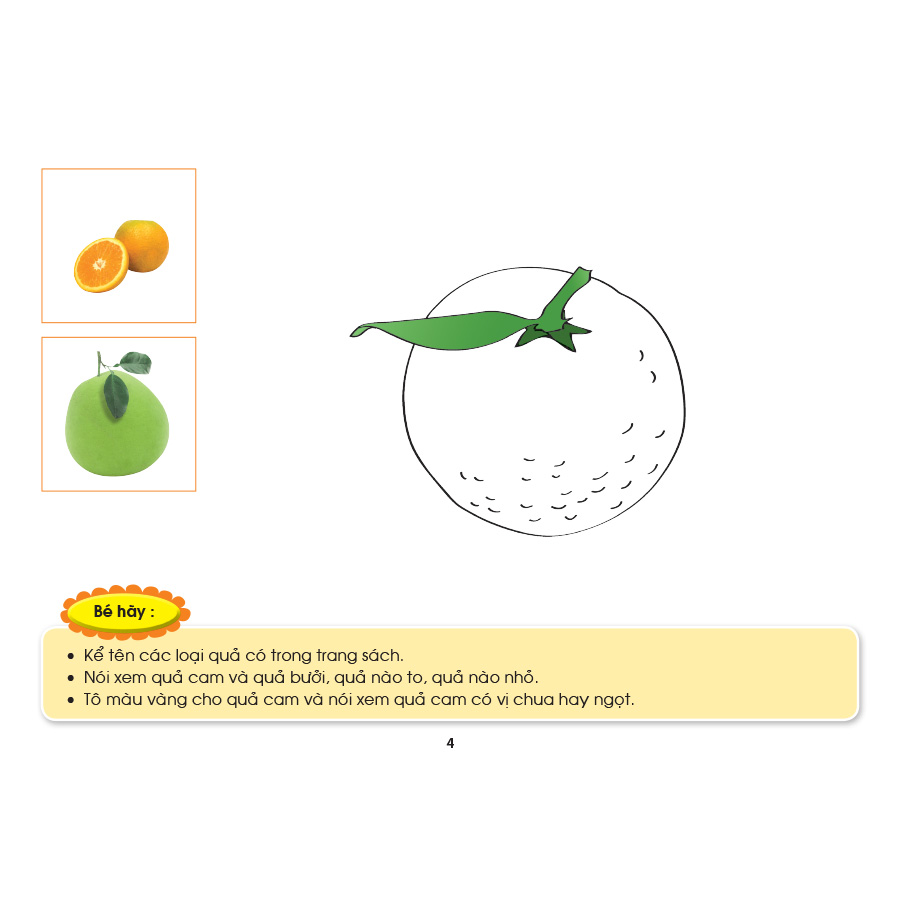 Bé HĐ&KPCĐ - Chủ đề Cây và những bông hoa đẹp (Dành cho trẻ 24-36 tháng tuổi)